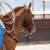 The Fort Welcomes all CNFR Participants and Spectators!